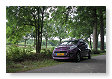 in het bos heb je bug's