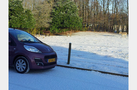 14 maart, het laatste sneeuw