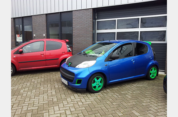 daar stonden mooie bugs