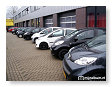 mooie neuzen