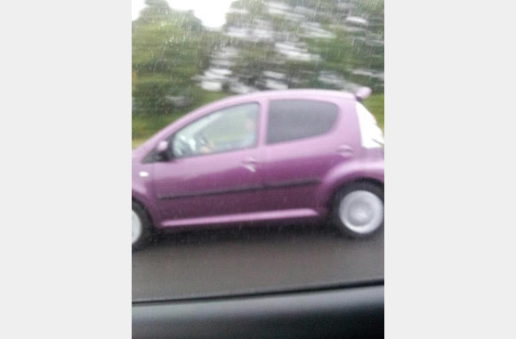 Gespot op 17-7-2012 op de A73