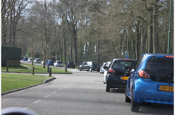 1 lange sliert van bugs