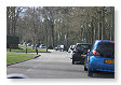 1 lange sliert van bugs