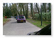 wat een mooie paarse bug