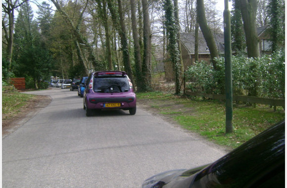 wat een mooie paarse bug