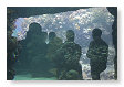 mensen in het water???