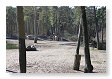 Er liep vanalles