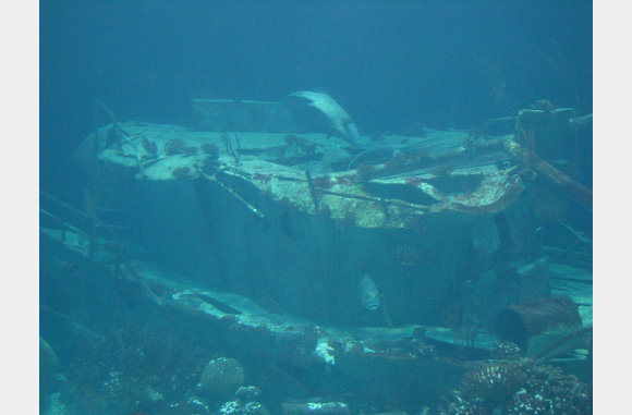 een gezonken schip