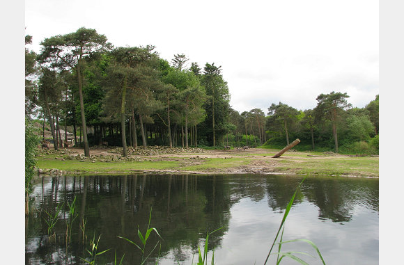 mooie natuur
