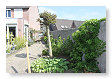 alles groen, de hortensia's moeten nog de knop in