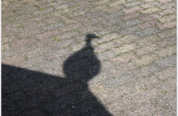 gevonden op texel 2012