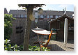 en winni zijn rustplek in de tuin