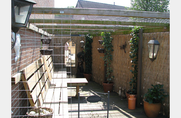 De tuin op 8 juni