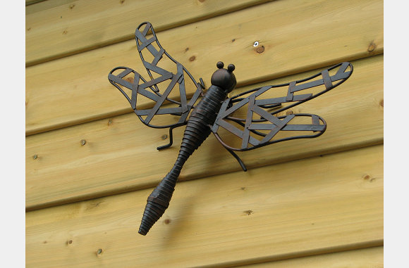 Nog een libelle