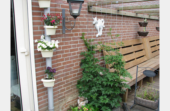 Alles bloeit