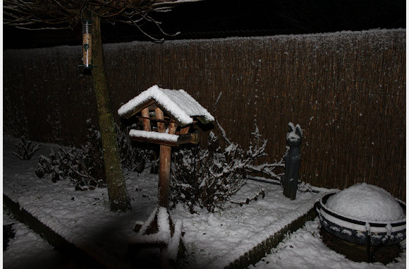 Cheeta's beeld