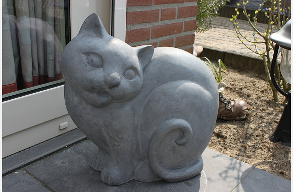 de nieuwste aanwint