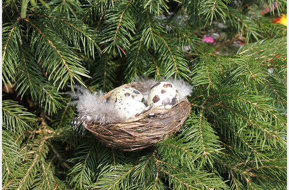 nestjes???
