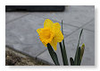 29 maart 2011