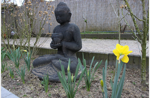 en ergens ook tulpen