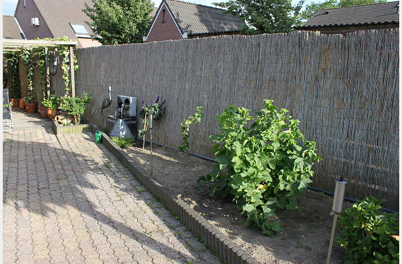 De bes begint te groeien