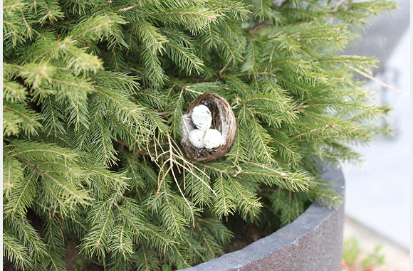 Eitjes in een kerstboom?