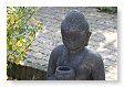onze buddah