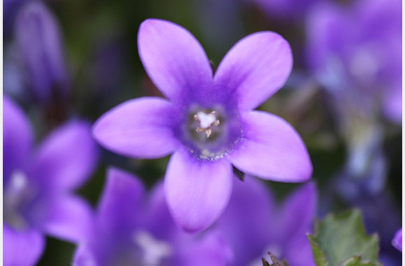 En daarin ook weer verschillende kleuren