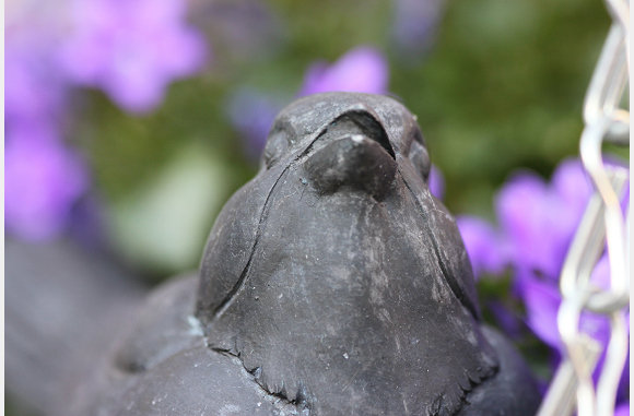 Gietijzeren vogel