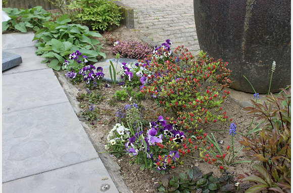 Volle border met vanalles