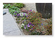 Volle border met vanalles