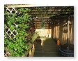 De Tuin, 2 juni 2009