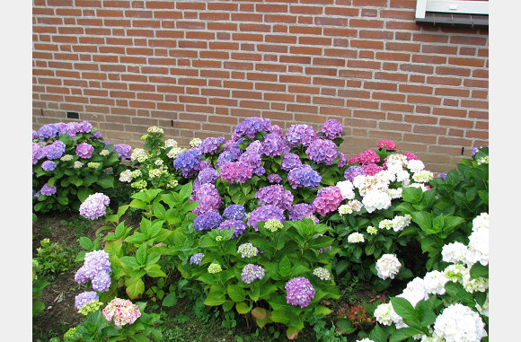 Schitterend