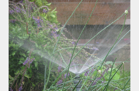 8 juni 2008, s'avonds moet er gesproeid worden