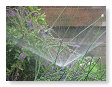 8 juni 2008, s'avonds moet er gesproeid worden