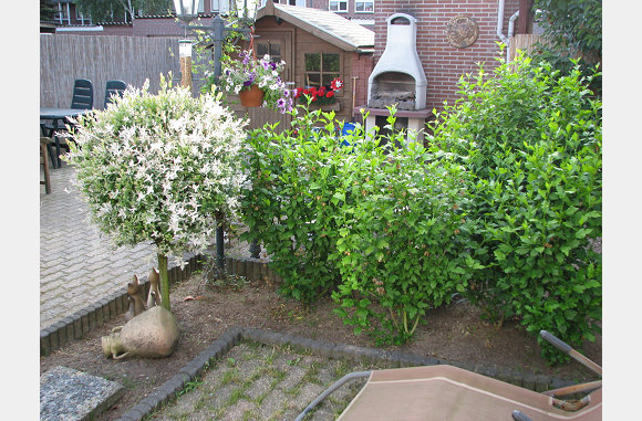erg groen