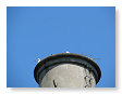 Boven op de toren, een nest ooievaars