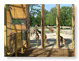 Het binnenhok van de giraffes