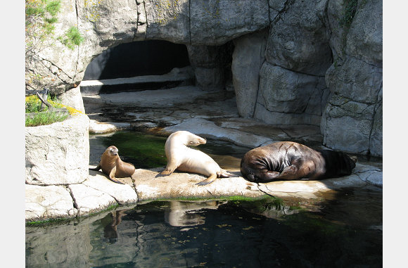 15-8-09 een dagje Blijdorp met mijn broer en zijn gezin