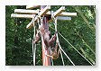 beetje hangen