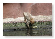met water spelen