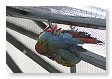 hangen overal aan