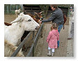 Honger hadden za allemaal