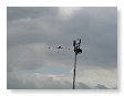 Tanken in de lucht