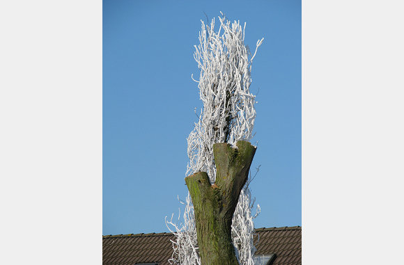 Kunstwerk???