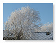 Hadden we met kerst moeten hebben.