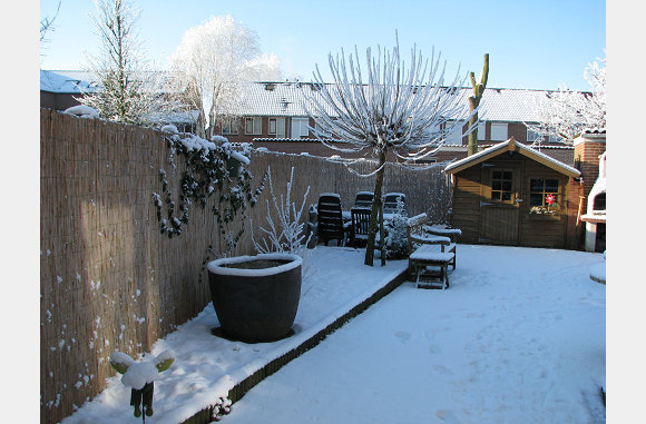 Nog een laatste blik op de tuin op 9 januari.