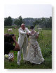Koeien op de achtergrond.