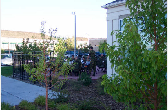 Gesellie op terras