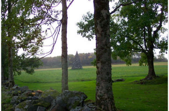 Mooi groen ook nog...